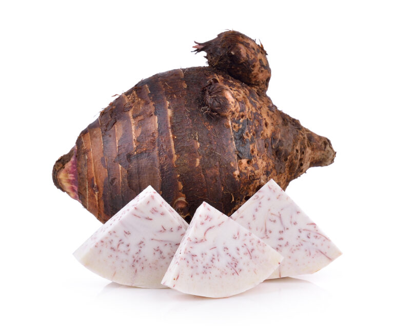 malanga on white background